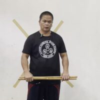 Dos armas basic grip and exercises