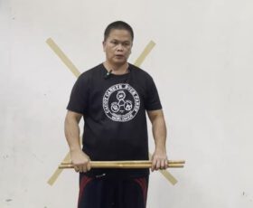 Dos armas basic grip and exercises